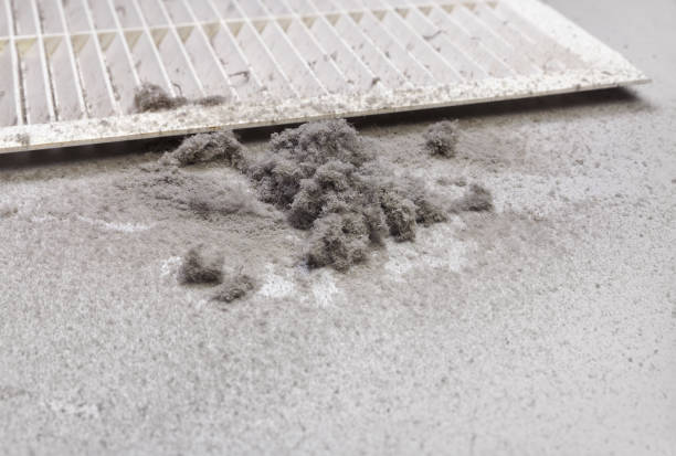 Best Local Air Duct Cleaning Services  in Calcutta, OH